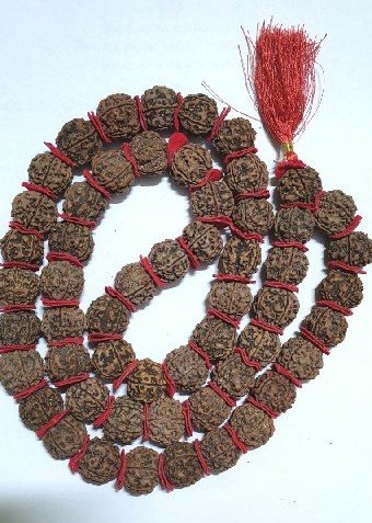 5 face big rudraksha mala