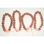 original rudraksha