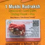 1 mukhi rudraksha