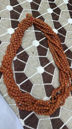 1100 Rudraksha Mala photo review